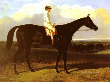 Jonathan Wild Herring Snr John Frederick caballo Pinturas al óleo